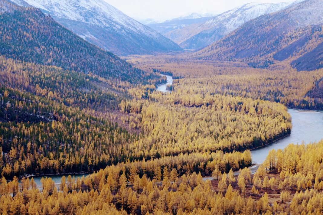 A breathtaking aerial view of a winding river through an autumn forest and mountains.